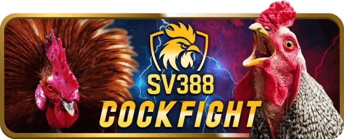 Sic Bo và Dragon Tiger với tỷ lệ cược hấp dẫn